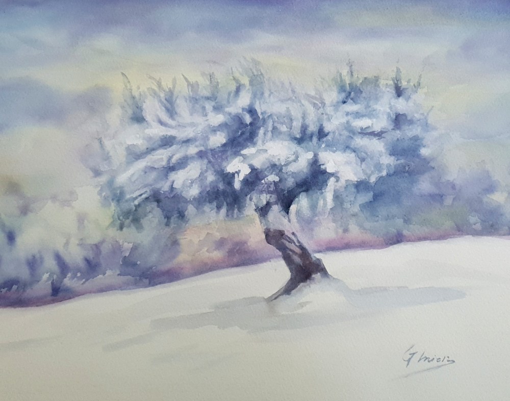 Olivo en la nieve. Acuarela 30x40